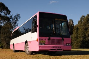 50 Seater Pink Party Bus